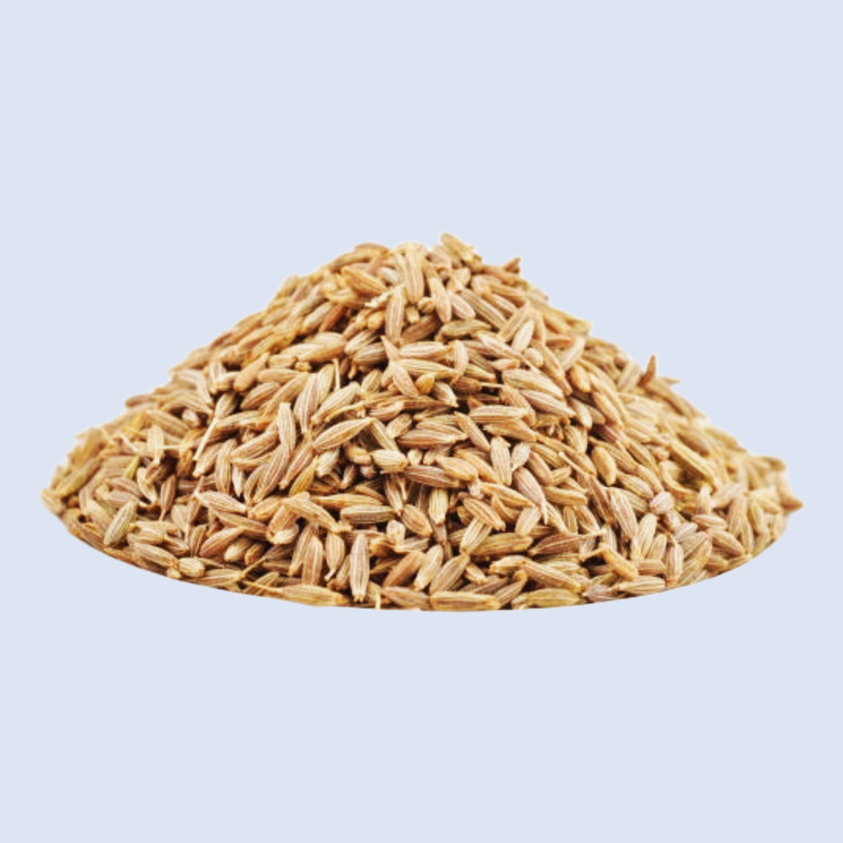 Jeera Whole/Cumin Seeds