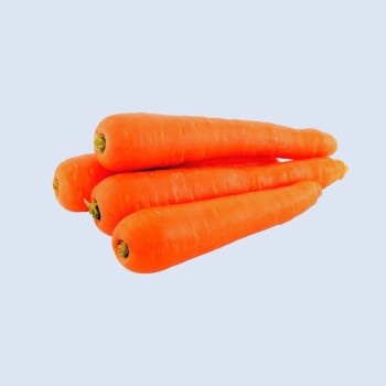 Carrot