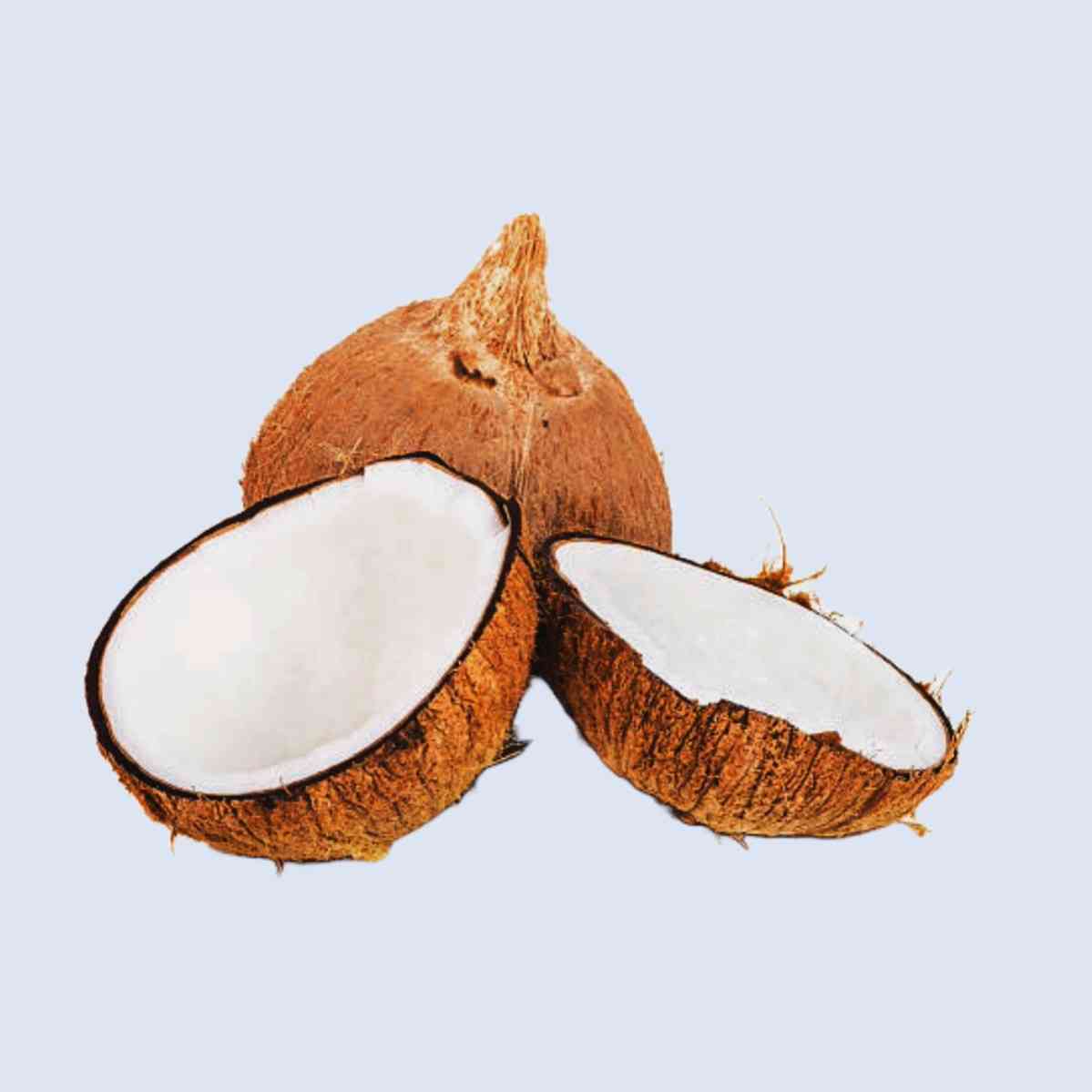 Coconut/Kobbarikaya