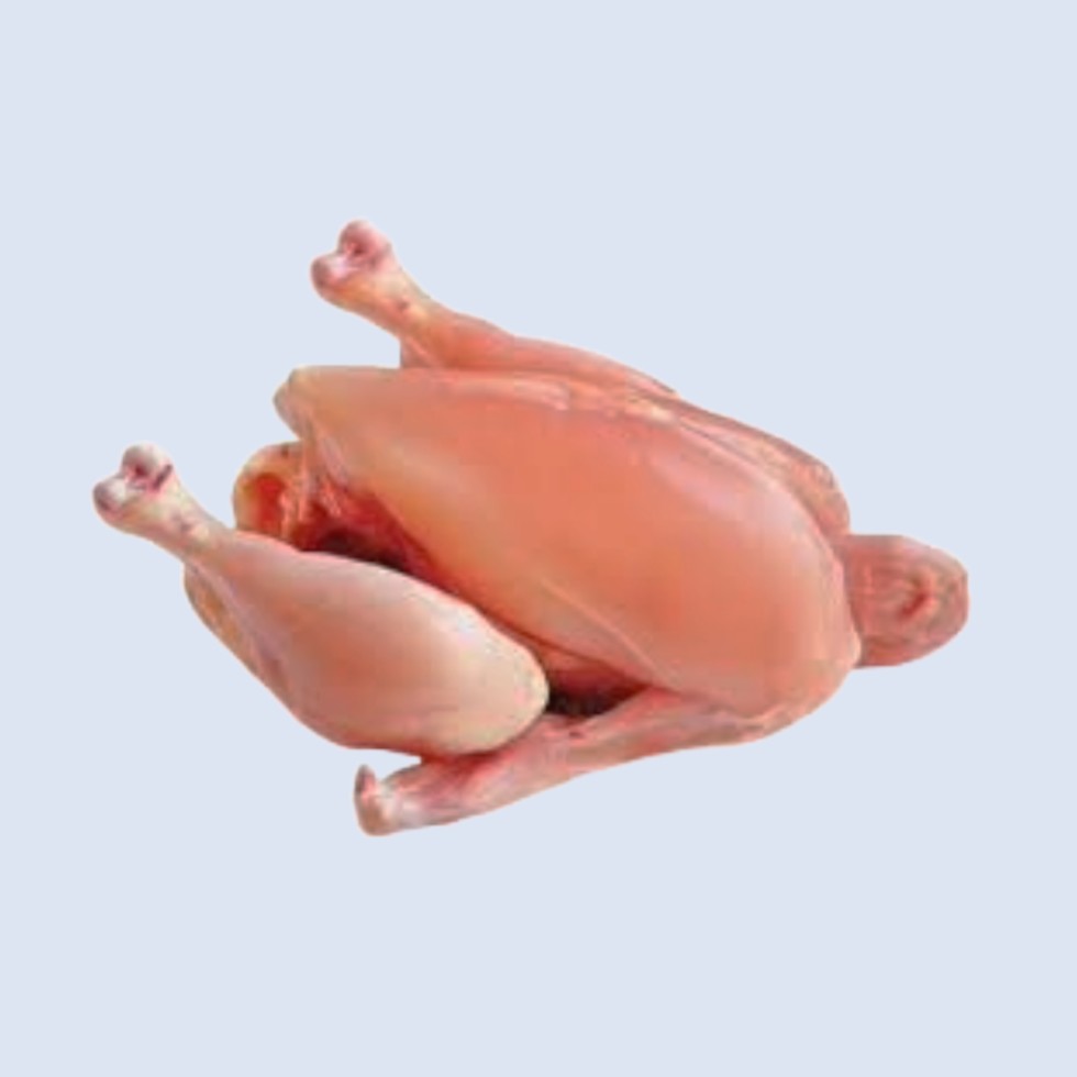 Fresh Chicken Whole Skinless (1100g - 1300g/Pc)
