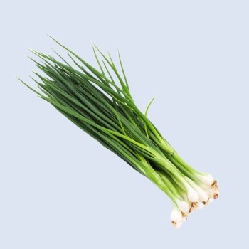 Spring Onion/Ulliaaku